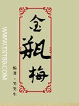金瓶梅TXT八零-金梅瓶txt全集下载